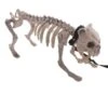 Skelet Hond -Halloween Rekwisieten Winkel 0dda4d65 7910 46d6 8909 50165228b594 130422