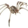 Skeleton Spider -Halloween Rekwisieten Winkel 7122255 thumb