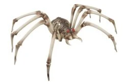 Skeleton Spider
