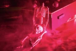 Skull, Black -Halloween Rekwisieten Winkel 83314218d