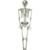 Halloween Skeleton, 150 Cm -Halloween Rekwisieten Winkel 83314595a