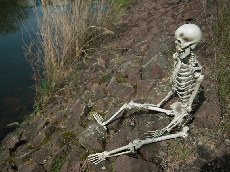 Halloween Skeleton, 150 Cm 5 Halloween Skeleton, 150 Cm - Afbeelding 3