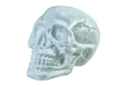 Halloween Skull, 31x22x22cm -Halloween Rekwisieten Winkel 83314669b