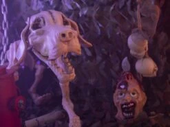 Halloween Skeleton Dog, 71x40x25cm -Halloween Rekwisieten Winkel 83314670c