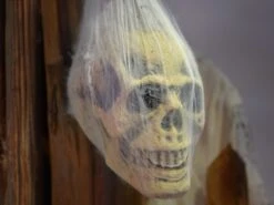 Halloween Figure Skull In Spider Web -Halloween Rekwisieten Winkel 83316072c