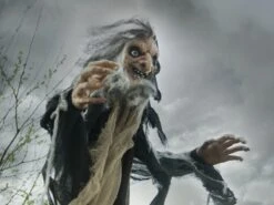 Halloween Witch, Nahema, 160cm -Halloween Rekwisieten Winkel 83316105e