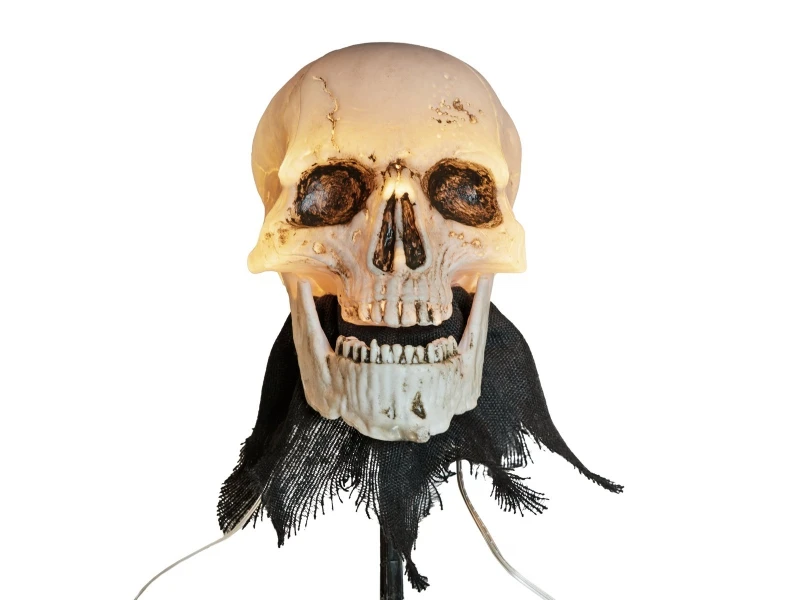 Halloween Skeleton Head With Stake, Set Of 3, 29cm 4 Halloween Skeleton Head With Stake, Set Of 3, 29cm - Afbeelding 2