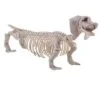 Teckel Skelet -Halloween Rekwisieten Winkel 94185 0