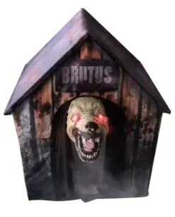 Hondenhok Met Bewegende Hond