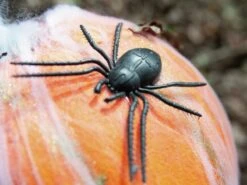 Halloween Pumpkin In Spider Web 25cm -Halloween Rekwisieten Winkel a 1601551891 83316074d