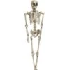 Halloween Figure Skeleton -Halloween Rekwisieten Winkel europalms halloween figure skeleton 165 cm