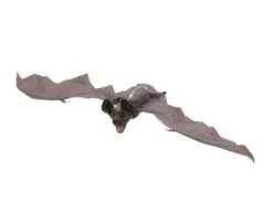 Halloween Moving Bat, Animated