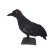 Halloween Raven 30x11x23cm -Halloween Rekwisieten Winkel europalms halloween raven 30x11x23cm