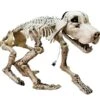 Halloween Skeleton Dog, 71x40x25cm -Halloween Rekwisieten Winkel europalms halloween skeleton dog 71x40x25cm