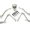 Halloween Skeleton, Multipart -Halloween Rekwisieten Winkel europalms halloween skeleton multipart