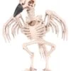 Skeleton Crow 20 Cm -Halloween Rekwisieten Winkel skeleton crow 20 cm